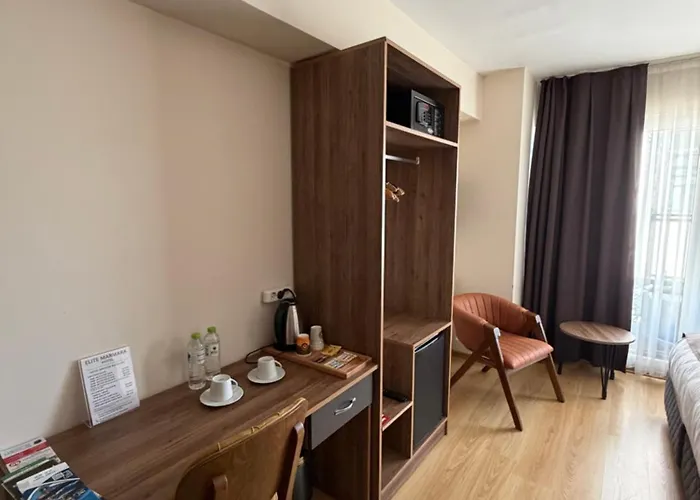 酒店 Grand Elite Old 伊斯坦布尔