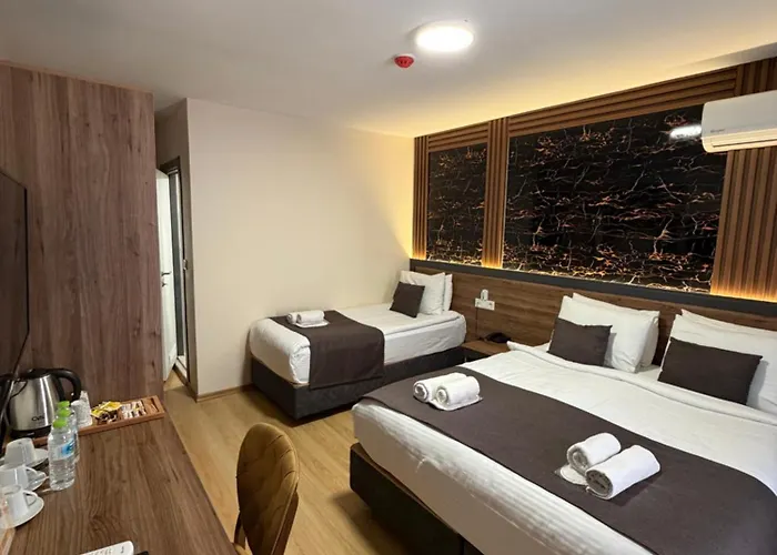 酒店 Grand Elite Old 伊斯坦布尔