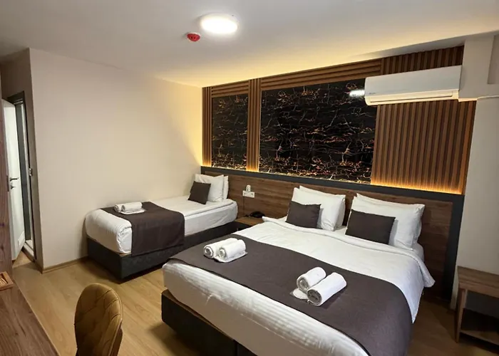 酒店 Grand Elite Old 伊斯坦布尔